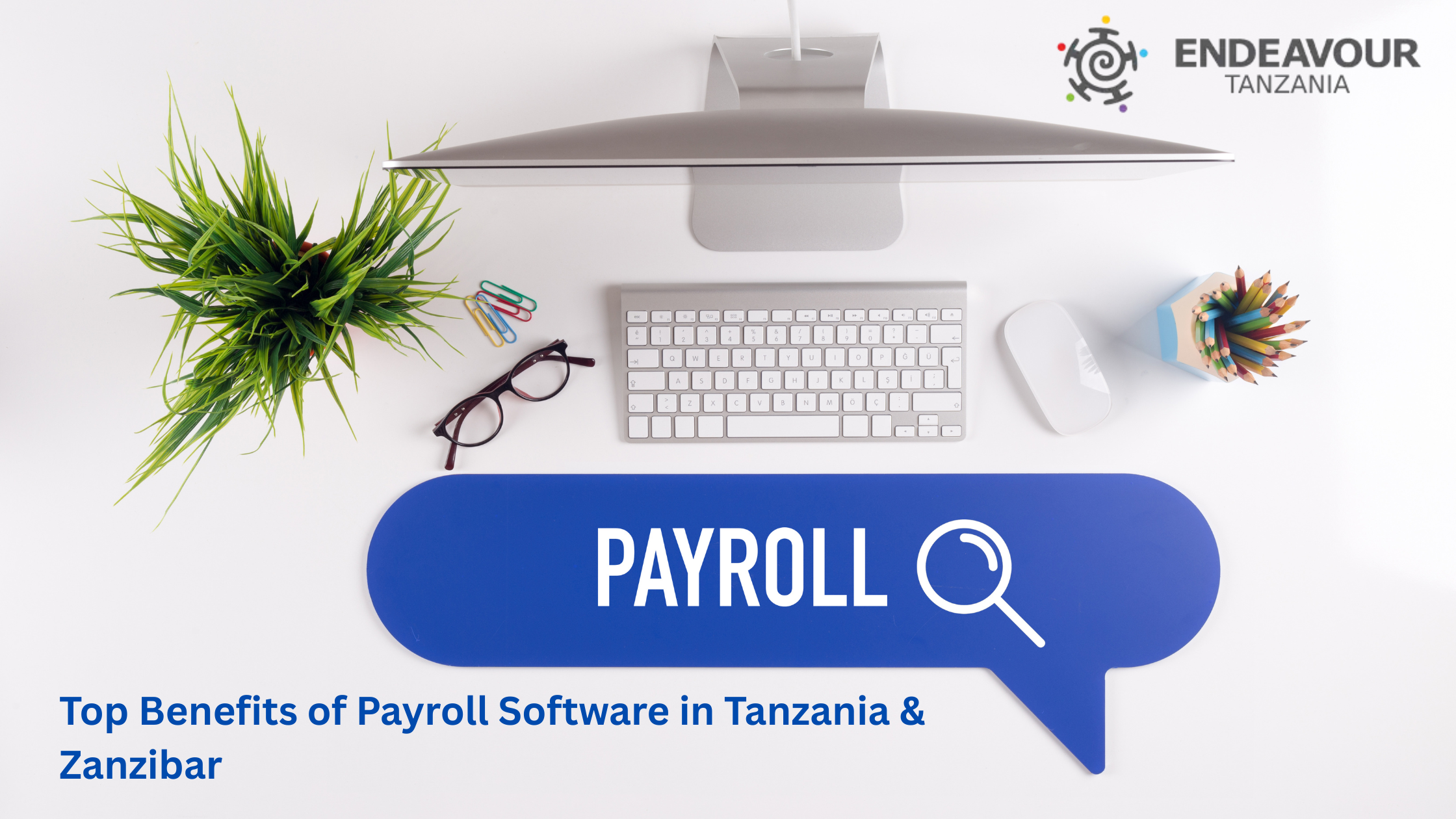 Top Benefits of Using Payroll Software in Tanzania & Zanzibar for Businesses