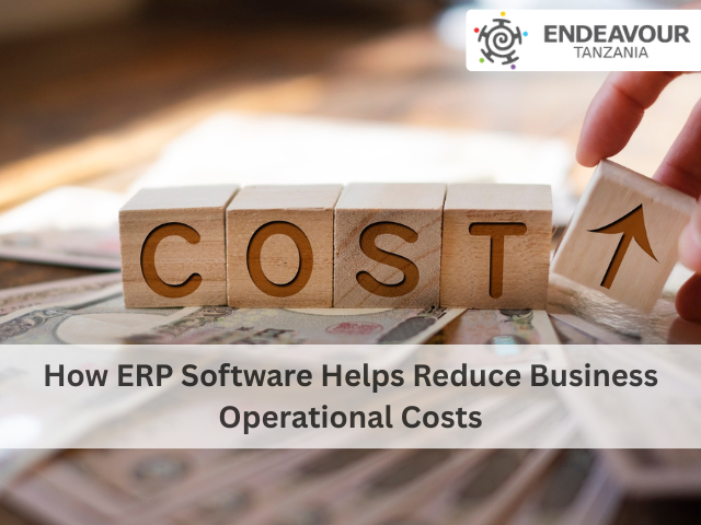 ERP software
