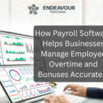 Payroll Software for Overtime & Bonus Management | Pay Master Tanzania