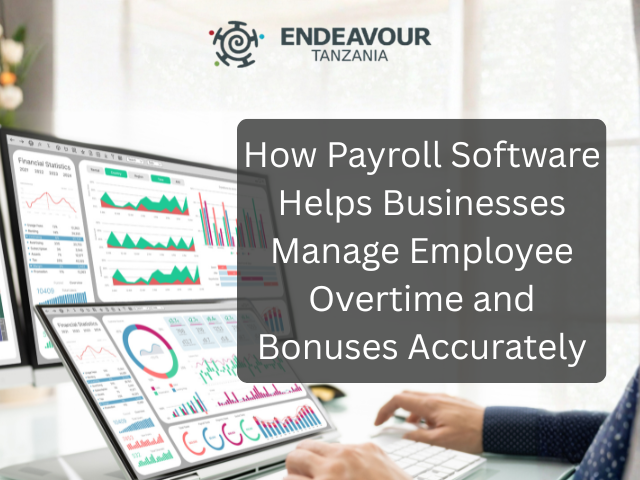 Payroll Software for Overtime & Bonus Management | Pay Master Tanzania